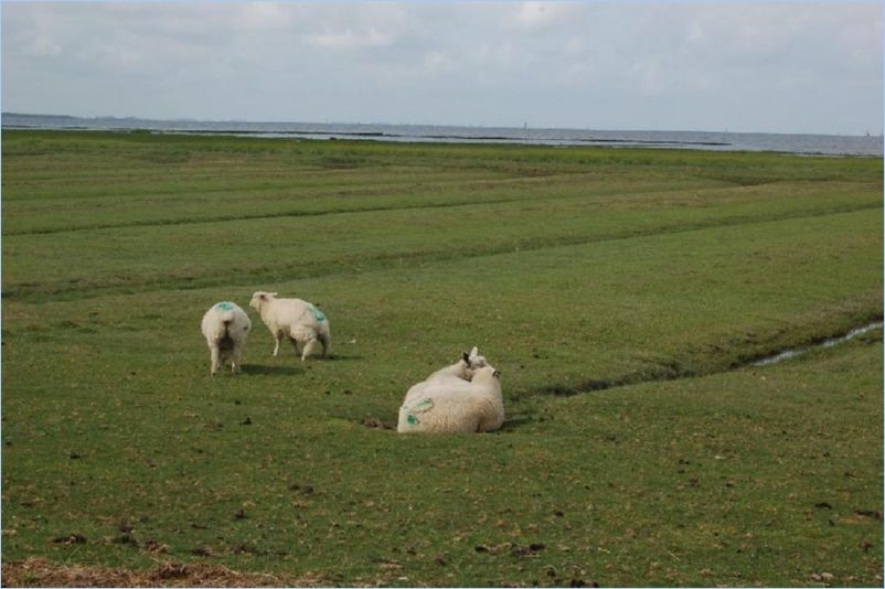 <i><b>066-North Sea Cycle Path</b></i>